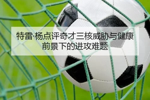 特雷·杨点评奇才三核威胁与健康前景下的进攻难题